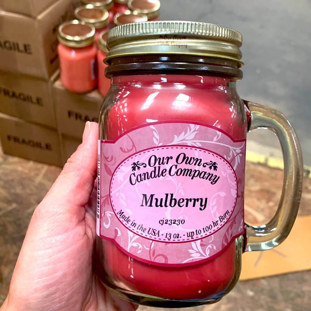 Our Own Candle Company Mulberry 13 oz Candle, 100 hour burn